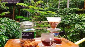 Doesoen Kopi Sirap, Wisata Edukasi Kopi dan Budaya