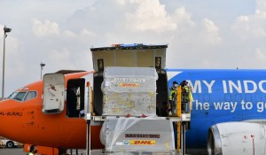 2,5 Juta Dosis Vaksin Pfizer Didistribusikan ke Jabar, Jateng dan Yogyakarta