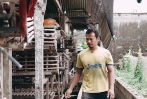 Tahan Hawa Nafsu, Mantan TKI Sukses Ternak Ayam Petelur