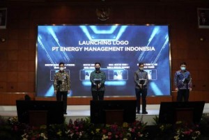 PLN Kejar Target Dekarbonisasi 117 Juta Ton CO2 sampai dengan 2025