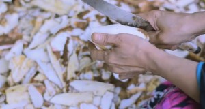 Sukses Jadi Sociopreuneur, Hasilkan Tepung Mocaf Berdaya Saing Global