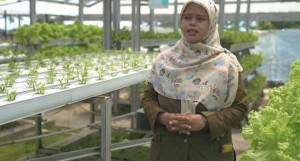 TTP Cigombong, Sukses Berdayakan Emak-emak Kembangkan Sektor Pertanian