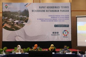 Dukung Ketahanan Pangan, Kemendes PDTT Buka Kawasan Baru Transmigrasi 380 Hektare