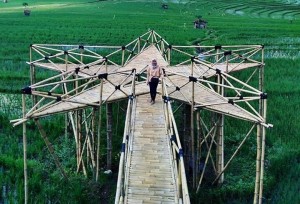 Peneliti IPB Ajak Milenial Promosikan Pariwisata Desa melalui Media Digital