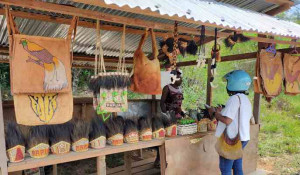 Anggota DPR Minta Kelangkaan BBM di Papua Tak Berlarut