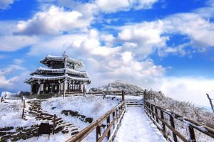 Tips Liburan Saat Musim Dingin di Korea