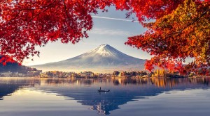 Rekomendasi Tempat Menginap Bagi Traveller Muslim di Tokyo