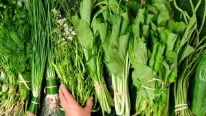 Pandemi, Ekspor Komoditas Sayuran Naik 100 Persen Lebih