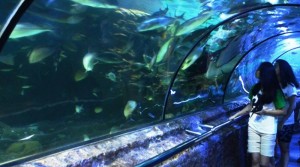 Ini 5 Alternatif Wisata Indoor Terpopuler