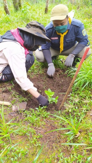 Perhutani Bersama PMPA Kompos UNS Tanam 100 Bibit Pohon di Lawu