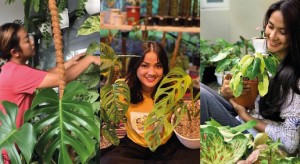 Tiga Artis Ini Kembangkan Bisnis Florikultura