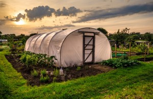 Ecovillage Solusi Beragam Masalah
