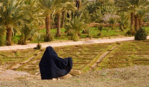 Wanita Karir di Masa Rasulullah