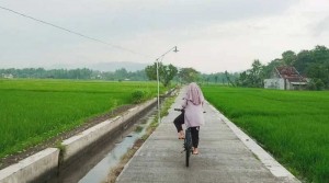 Desa Wisata Jamu Gendong Kiringan, Penggerak Ekonomi Warga dengan Jualan Jamu