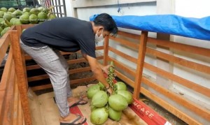 Pakai Modal Nikah, Kini Sukses Lewat Usaha Kelapa Muda