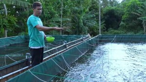 Alih Profesi Saat Pandemi, Muslim Asal Banten Ini Sukses Budi Daya Nila