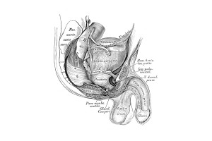 Jaga Kesehatan dengan Rawat Organ Reproduksi