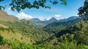 Pusuk Sembalun, Sajikan Indahnya Panorama Lombok di Atas Perbukitan