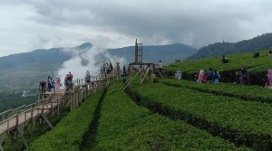 Wayang Windu Panenjoan, 'Surga Kecil' di Pangalengan Kabupaten Bandung