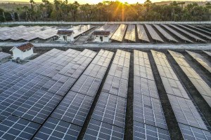 PLN Konversi 250 MW Pembangkit Diesel ke Surya di 2022