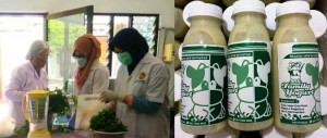 Tiga Srikandi Akademisi, Hasilkan Produk Yogurt Berkhasiat Atasi Kolesterol Jahat