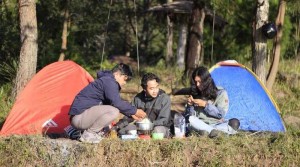 Eduwisata Sedadap, Belajar Seputar Kopi Sambil Nikmati Wisata Alam