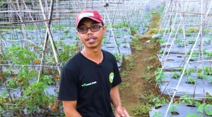 Tren Makanan Sehat, Milenial Ini Sukses Kembangkan Pertanian Organik