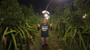 Didukung Listrik PLN, Petani Muda Ini Bawa Pertanian Bali Kian Modern