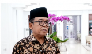 Jubir Wapres: Besok, Jokowi akan Resmikan Program Jaminan Kehilangan Pekerjaan