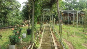 Rimbun Landscape Dukung RTH Depok dengan Pekarangan Si Madu