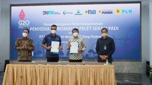 PLN Gandeng PT Sang Hyang Seri Olah Sekam Padi Jadi Bahan Bakar PLTU