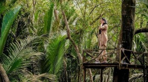 Desa Wisata Sungai Kupah Kembangkan Ekowisata Mangrove