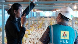 Gunakan Listrik PLN, Peternak di Sulsel Hemat Puluhan Juta Rupiah