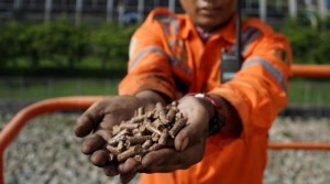 Tekan Emisi Lewat Co-Firing, PLN Hasilkan Listrik Hijau 96 Ribu MWh dari 28 PLTU