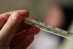 Sebabkan Demam Thypoid, Ini Bahaya Salmonella dan Cara Atasinya