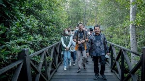 Uniknya Desa Wisata Cinta Raja,  Persinggahan Burung dari Berbagai Benua