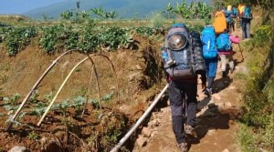 Jalur Pendakian Gunung Gede Pangrango Cianjur Kembali Dibuka