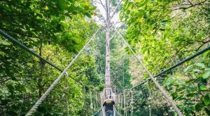 Liburan Seru di Pulau Penang, Taman Nasional Terkecil di Dunia