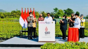 Persemaian Rumpin jadi Langkah Konkret Peneguhan Kerusakan Lingkungan