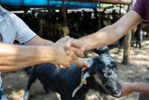 Bolehkah Berkurban Atas Nama Anak yang Belum Akil Baligh?