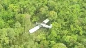Pesawat Susi Air Kecelakaan di Papua, Seluruh Penumpang Selamat