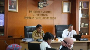 Kemendagri Minta Daerah Segera Bentuk BRIDA