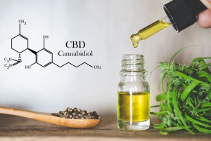 Legalisasi Ganja untuk Medis di Indonesia, Apakah Memungkinkan?