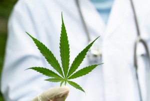 Ganja untuk Medis Punya Risiko Besar, Ahli Farmasi UGM Tolak Legalisasi