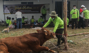 Ini Keseruan Bareng Keluarga saat Tunggu Pembagian Daging Kurban