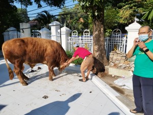Hewan Kurban di Masjid Sunda Kelapa Didominasi Milik Pejabat
