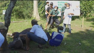 Baznas Gelar Semarak Kurban Online hingga Hari Tasyrik