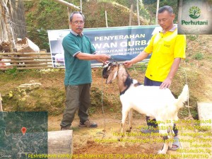 Perhutani Serahkan Hewan Kurban pada Masyarakat Desa Hutan Wonogiri