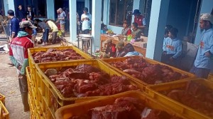 1.708 Warga Desa Batur jadi Shohibul Kurban, Sembelih 190 Ekor Sapi dan 376 Domba