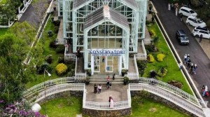 Dibuka untuk Umum, Rumah Kaca Konservatori Kebun Raya Cibodas Simpan Koleksi Tanaman Tropis